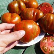 Редкие сорта томатов Сердце в стиле Тай Дай